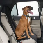 Neoprene Seat Cover for All Cars-Non-Slip & Waterproof Universal Fit - Imagen 2