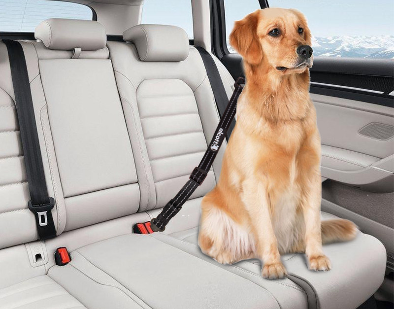 Pet-Friendly Seat Covers for Ford F150: Scratch-Resistant and Easy to Clean