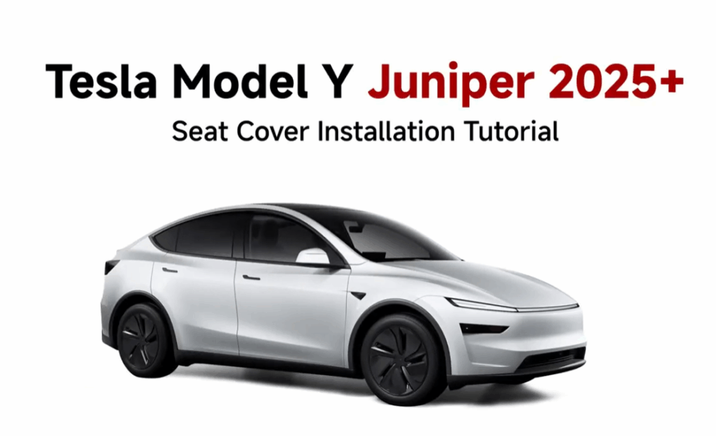 Tesla interior protection